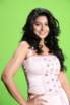 Sneha Spicy Photos